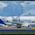 20240912 164413 6132727 Airbus A330-743L-BelugaXL F-GXLI #XL3 AMS Q2